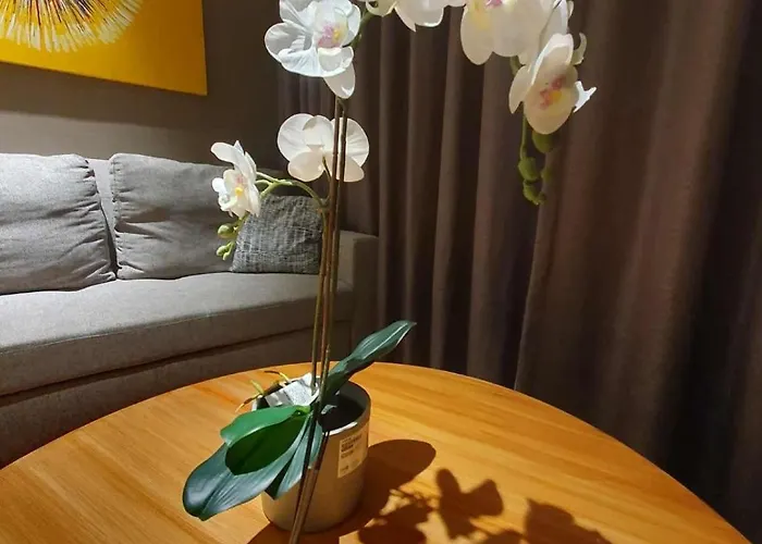 فندق Amoresuite Residences At Acqua مانيلا
